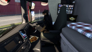 Мод Interior Addon by Wolli для ETS 2